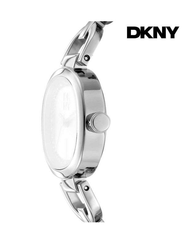 DKNY Ladies Watch